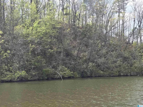 LOT 6 Eagle Mountain Rd, Rockford, AL 35136