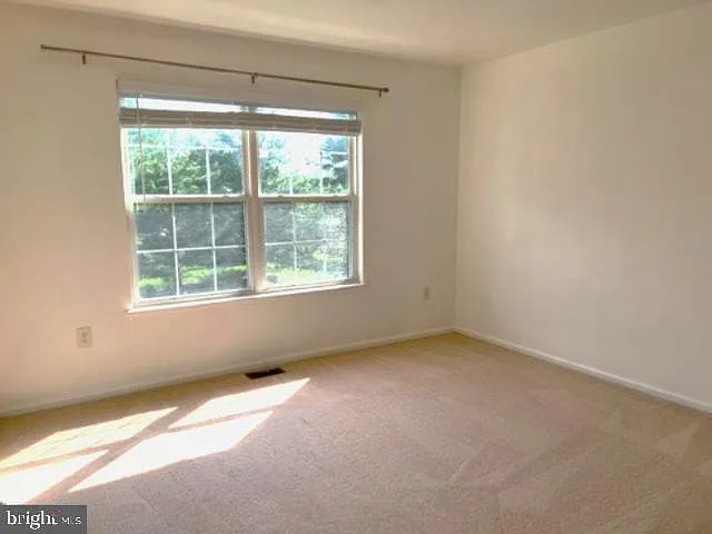 245 Colt St — Photo 19