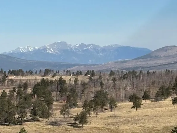 0 Riccardo Ln, Fort Garland, CO 81133