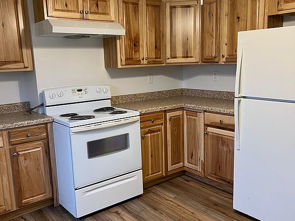 Kitchen- new cabinets, counter, flooring, sink, ceiling fan