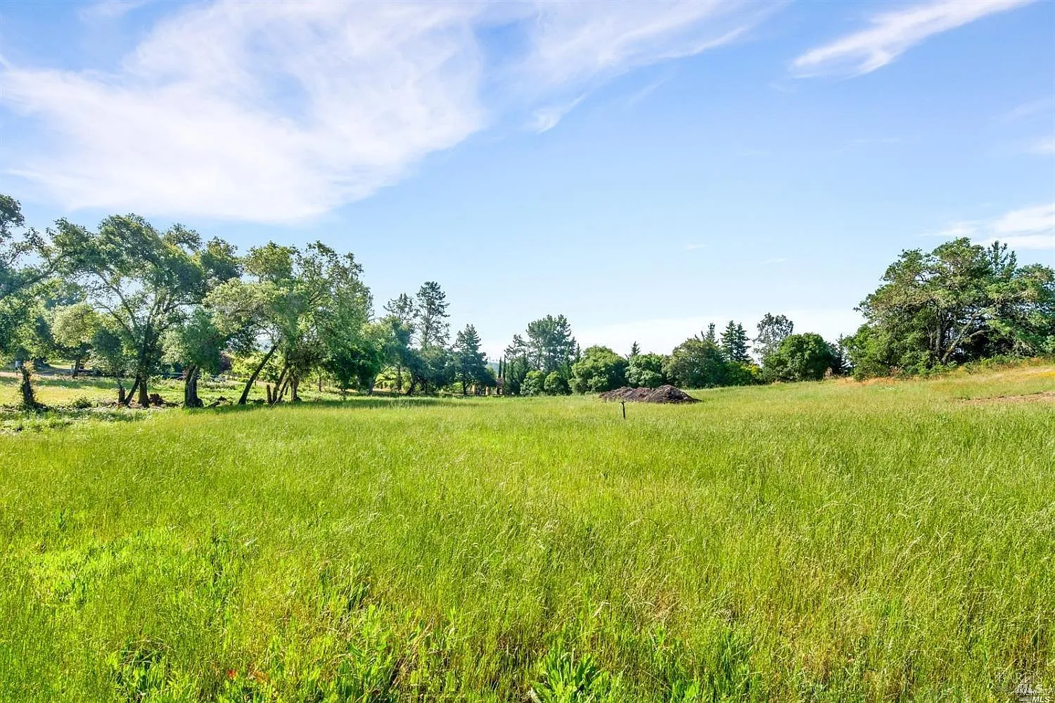 1100 Lytton Springs Road - Photo 1