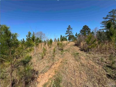 LOT 5 Will Jones Rd, Jay, FL, 32565