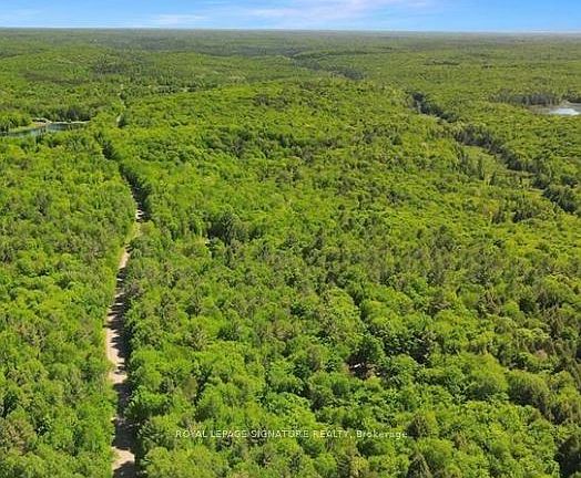 3rd image of 0 Bobcaygeon Rd