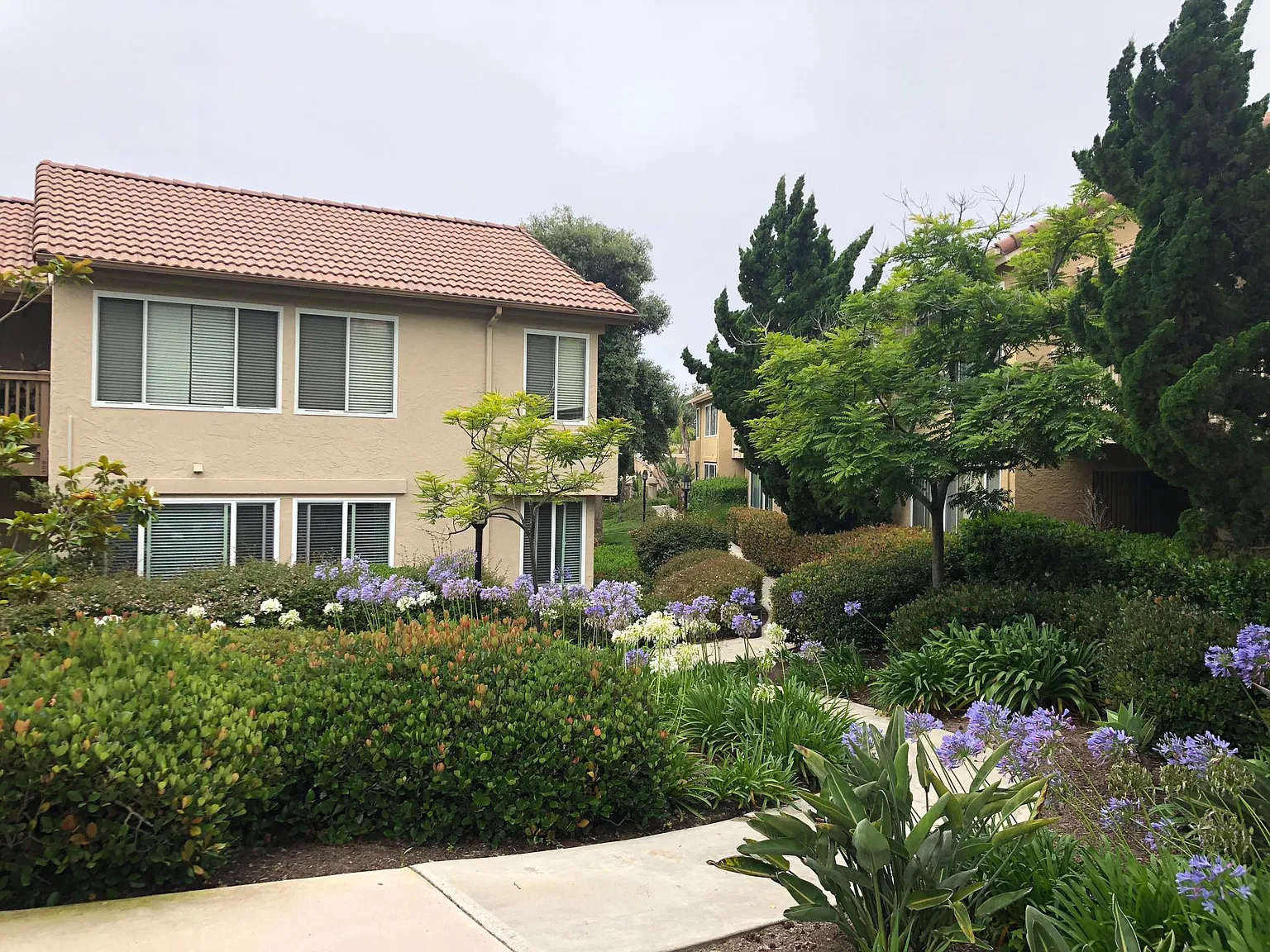 2 bed, 1263 sqft, $4,450 — Photo 4