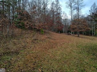32 Ivylog Rd, Blairsville, GA 30512