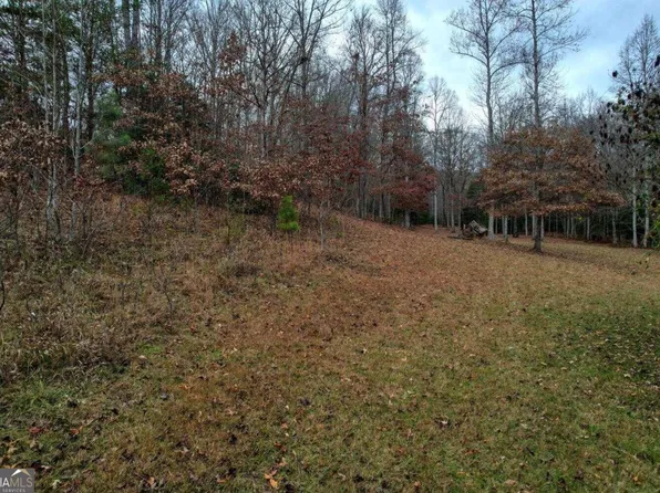 32 Ivylog Rd, Blairsville, GA 30512