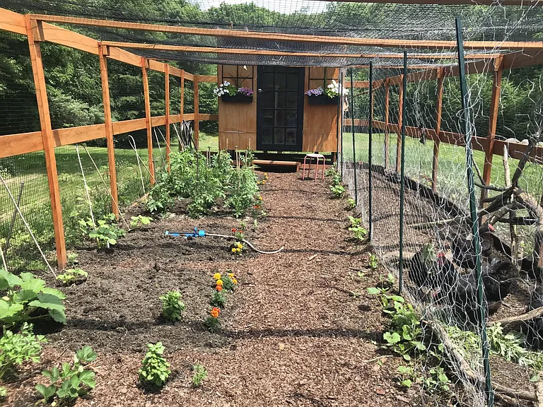Fully fenced vegetable garden and chicken coop