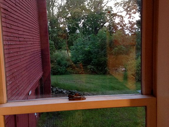 view from living room window