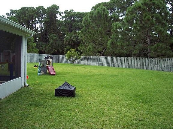 Back yard