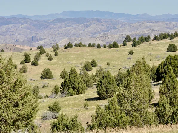 0 Highway 218, Antelope, OR 97001