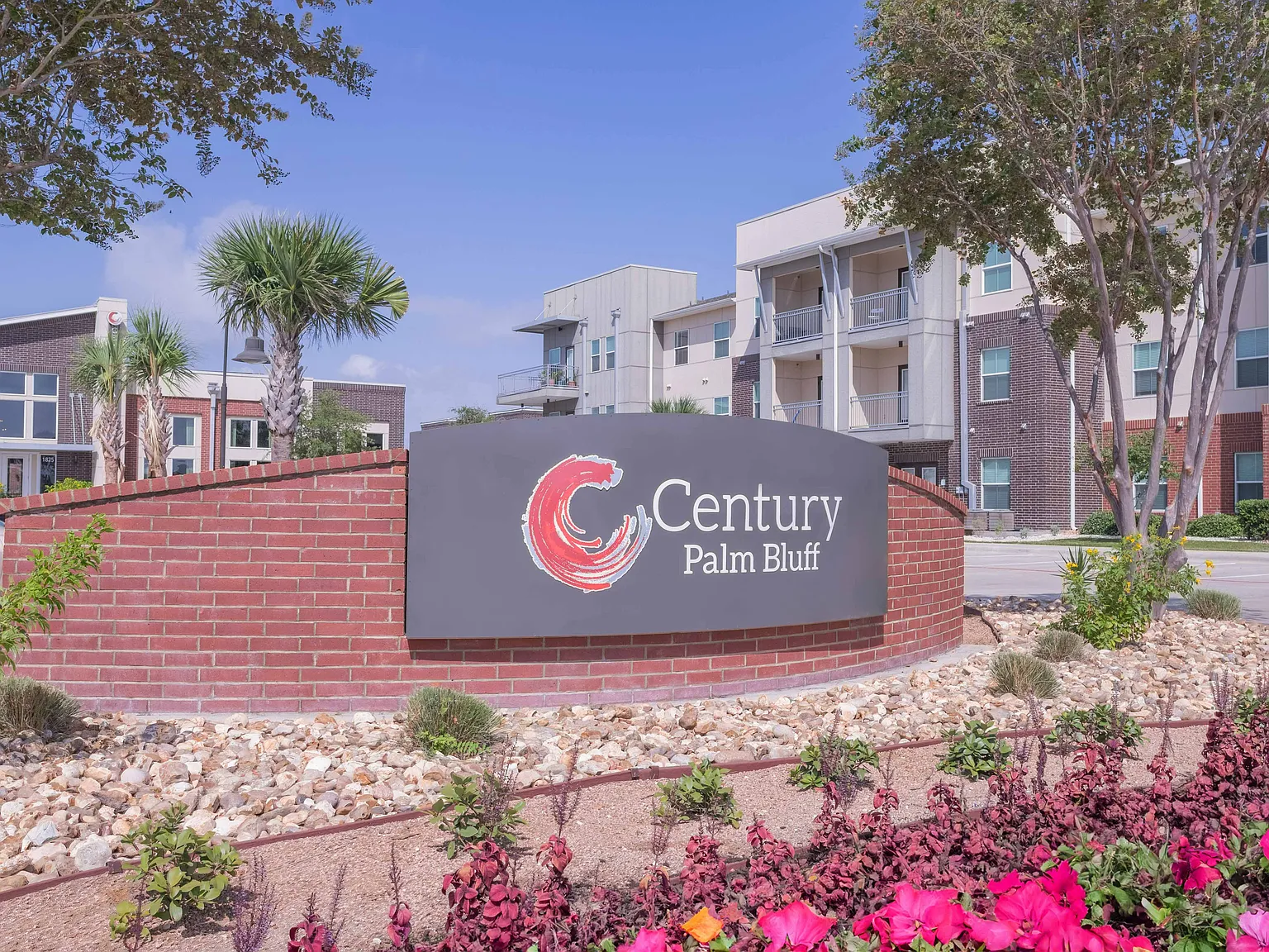 Century Palm Bluff — Photo 3
