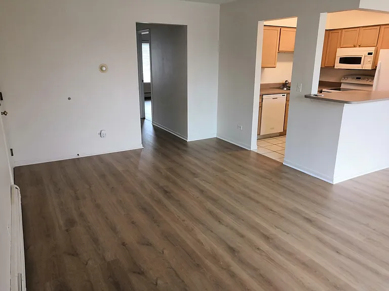 249 W Court Of Shorewood #2B — Photo 7