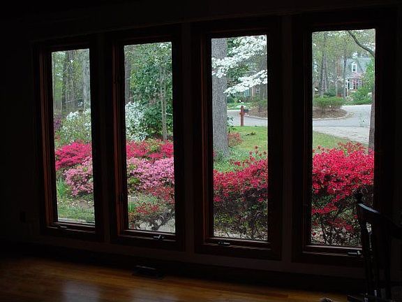 Spring view from Dining Room