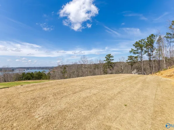 LOT C6 Country Rd #913, Crane Hill, AL 35053