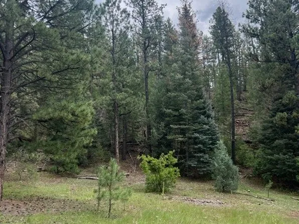 LOT In El Macho Cyn #D, Pecos, NM 87552