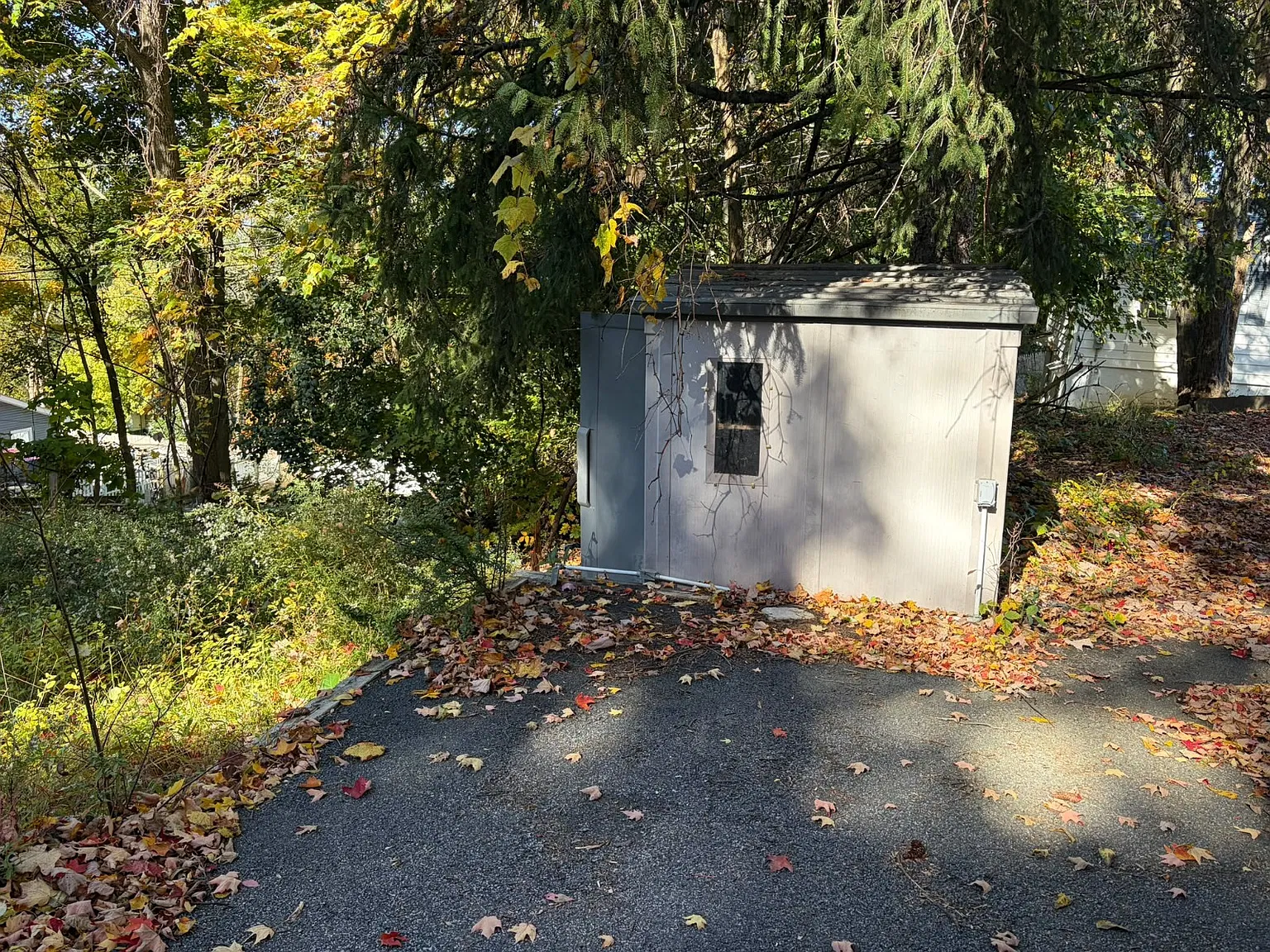 3 bed, $2,300 — Photo 3
