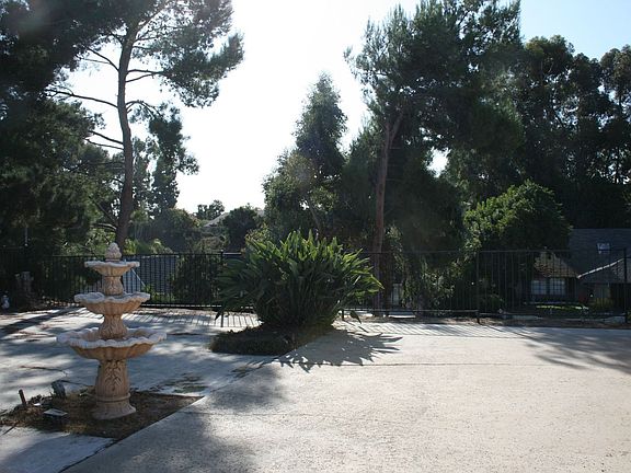 Rear Yard and patio with view