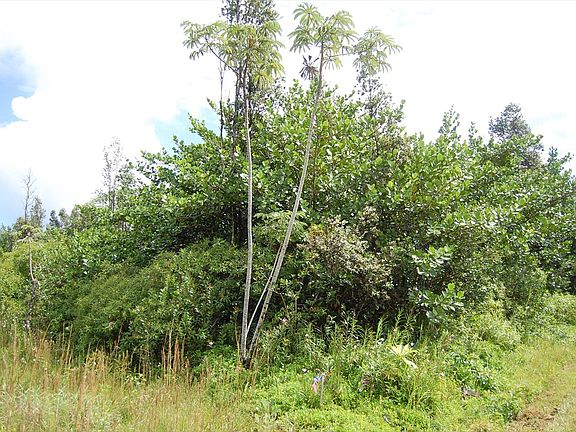5th image of 15-1561 9th Ave Lot 1846