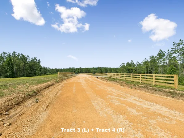 1420 Big Swan Creek Rd Tract 3, Summertown, TN 38483