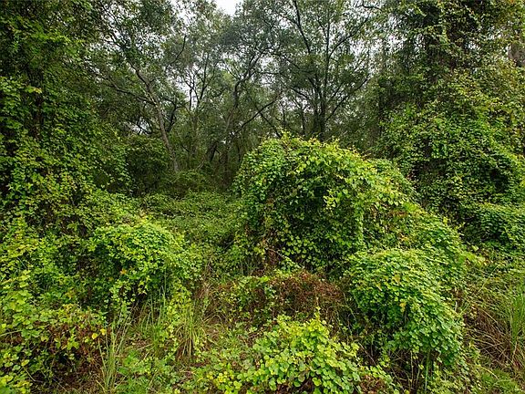 4th image of 4818 GADARA ROAD LOT 40