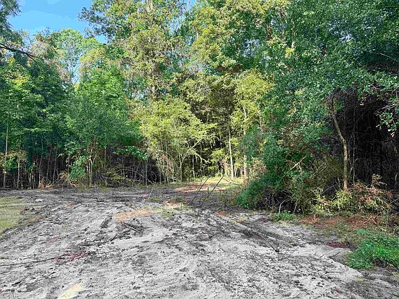 4th image of 349 Green Oaks Rd