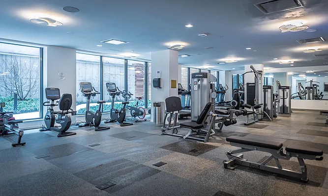 Rented by The Dermot Realty Management Company | media 13