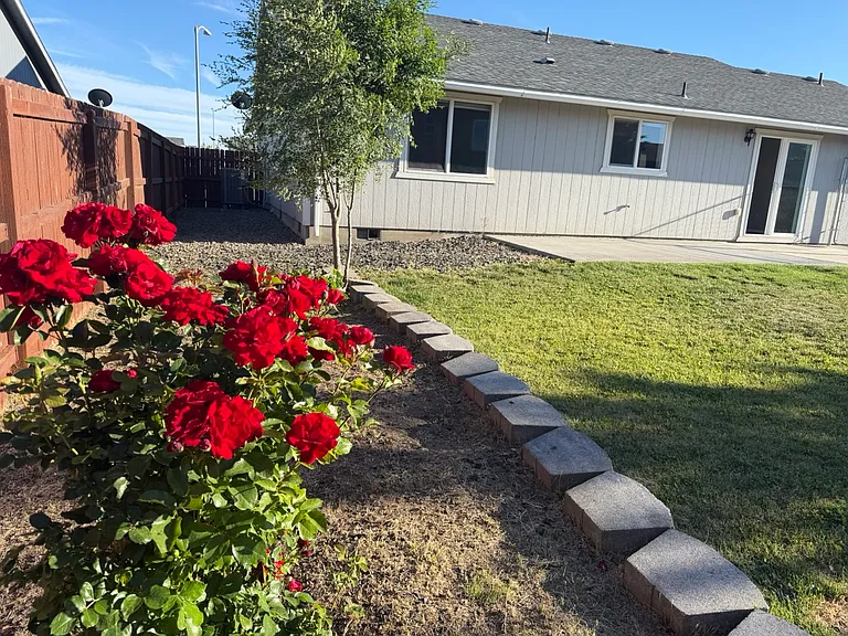 Section of the backyard previously used for a garden.
