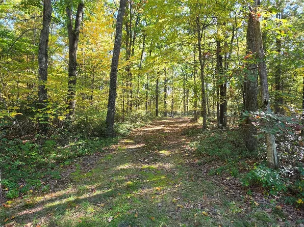 Lot #86 Perry Pond Road, Narrowsburg, NY 12764