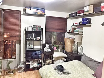 Rented by Jack B Shapiro