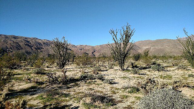 2nd image of 1471 Borrego Springs Rd