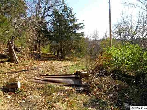 Home for Sale in Quincy, IL $35,000