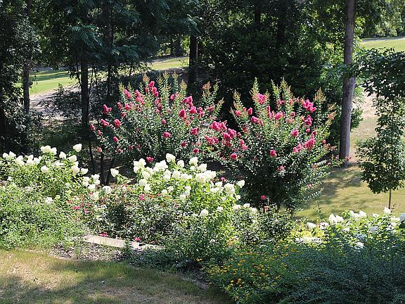 Beautiful view of backyard 