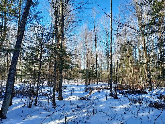 5th image of 4 Log Lodge Rd #4