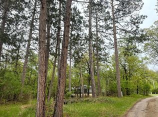 Lavinia Rd NE, Bemidji, MN 56601