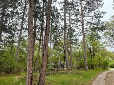 Lavinia Rd NE, Bemidji, MN, 56601