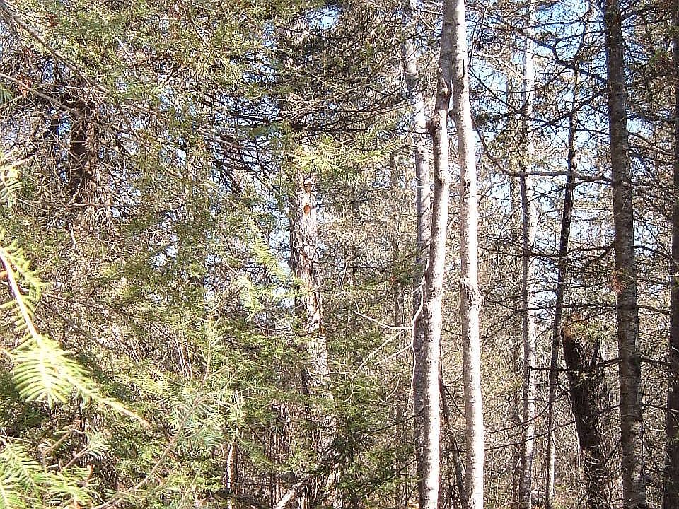 2nd image of S And West Of Everett Bay Rd #2