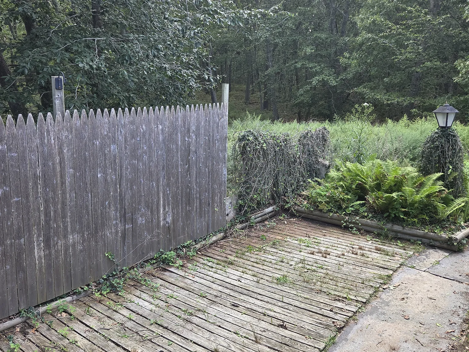 3 bed, 3500 sqft, $3,500 — Photo 4