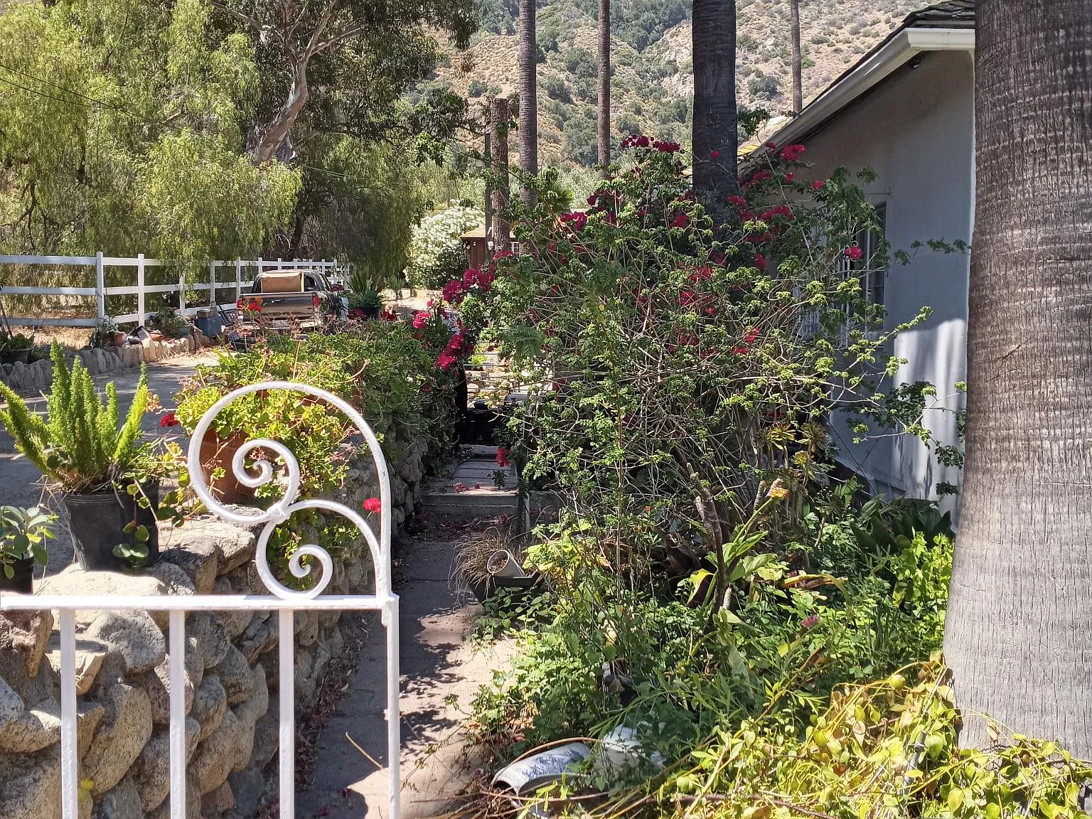 33368 Macy St — Photo 3