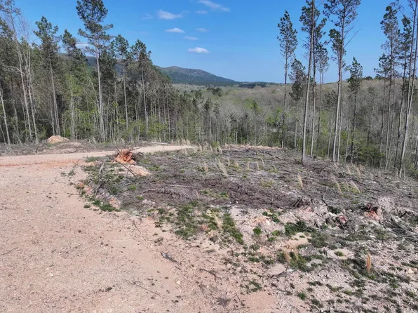 14 Palmer Mountain Rd, Caddo Gap, AR 71935