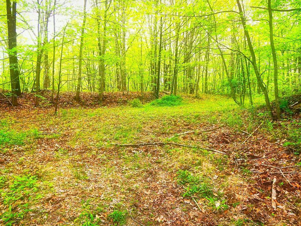 1st image of Sassafras Ln