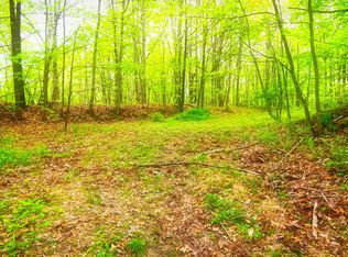 Sassafras Ln, Pioneer, TN 37847