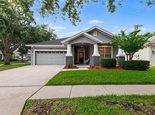 18037 Lake Reflections Blvd, Lutz, FL 33558