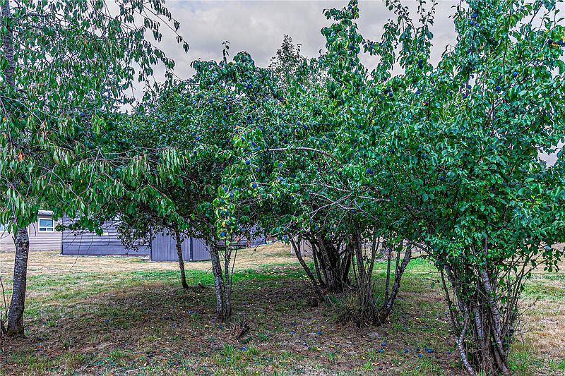 5th image of 30114 E Orville Road