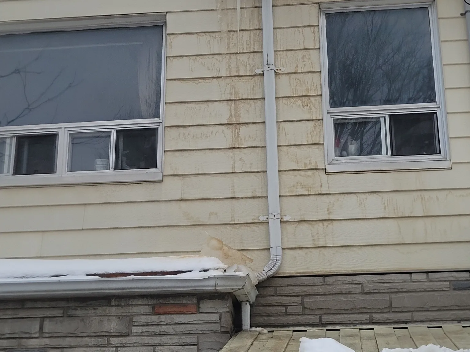 2 bed, 1200 sqft, $950 — Photo 2