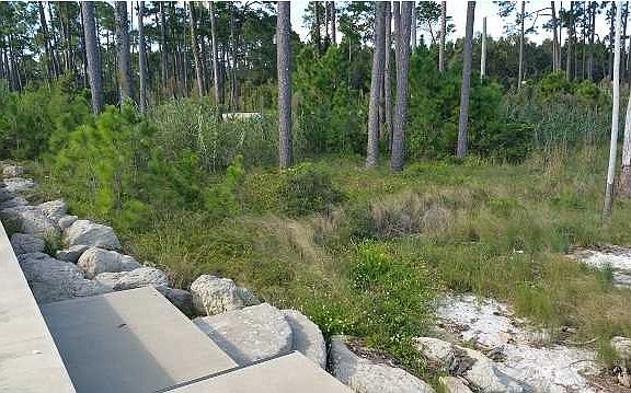 5th image of 2133/40 Highway 98 W