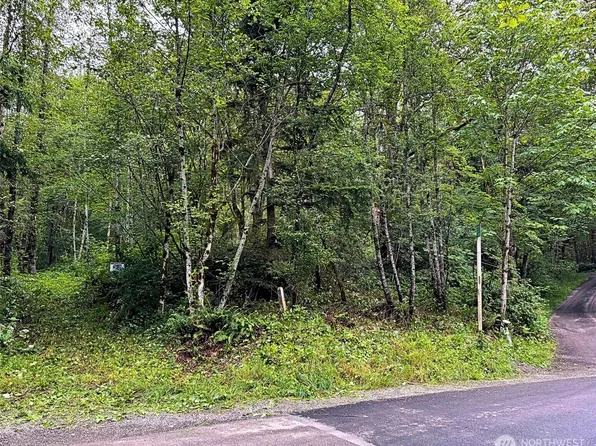 355 XX SE Courtney Road, Ravensdale, WA 98051