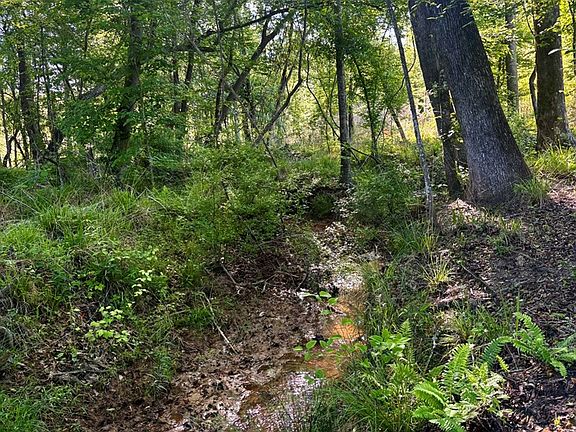5th image of Cotton Hill Rd