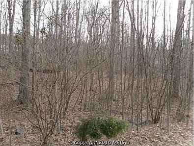 4th image of 0 Longwood Dr