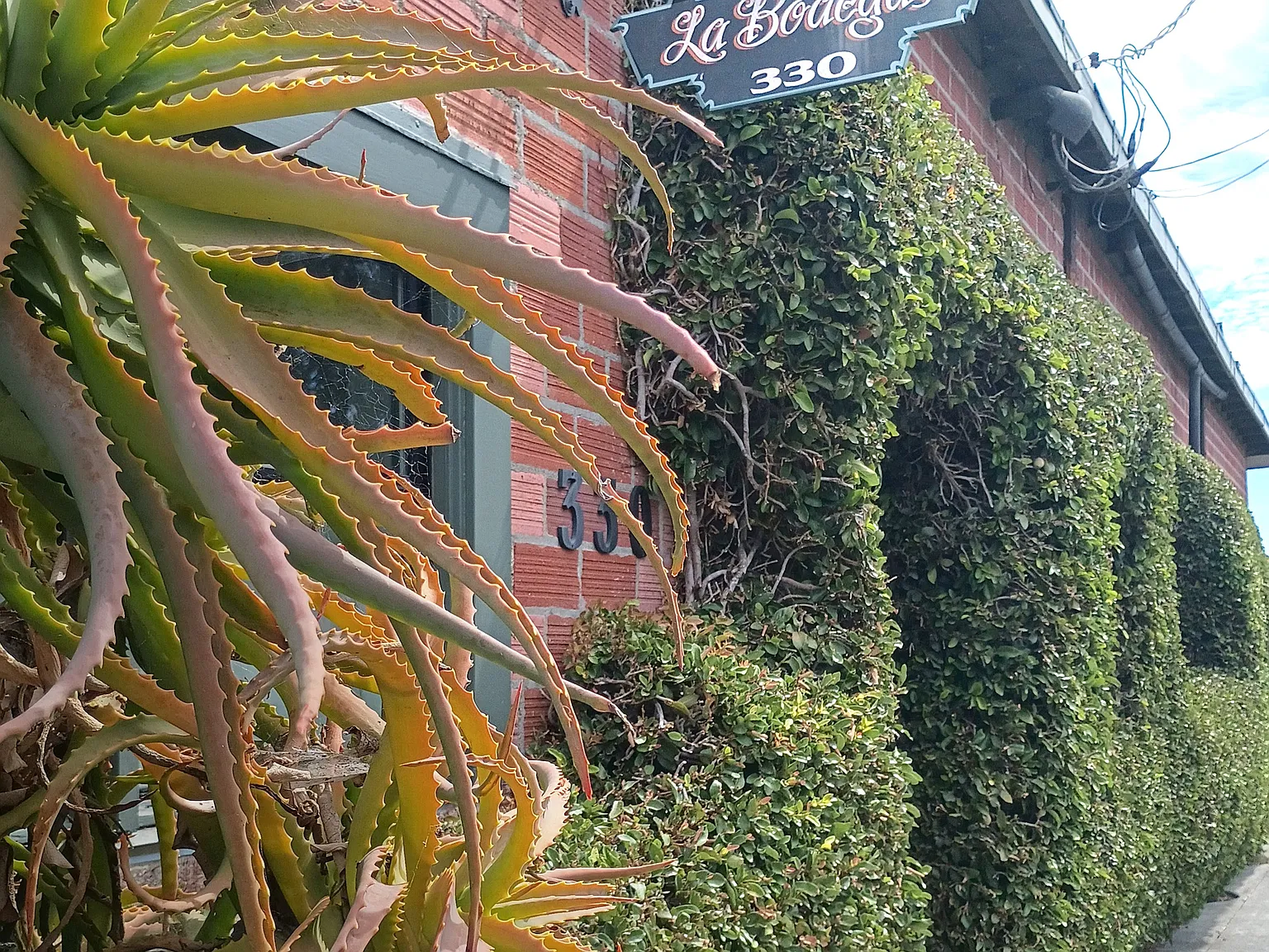 Pleasant St, Petaluma — Photo 1