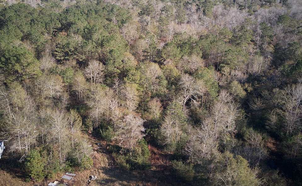 2nd image of 5410 W Grigsby